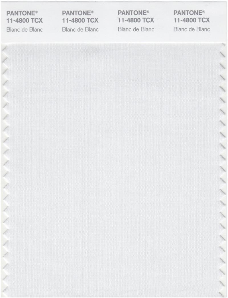 Pantone Smart 11-4800 TCX Color Swatch Card | Blanc de Blanc
