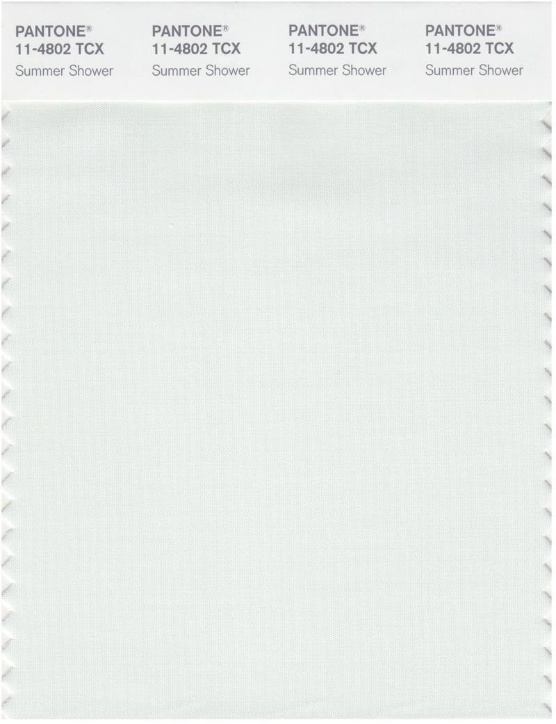 Pantone Smart 11-4802 TCX Color Swatch Card | Summer Shower