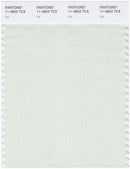 Pantone Smart 11-4803 TCX Color Swatch Card | Ice