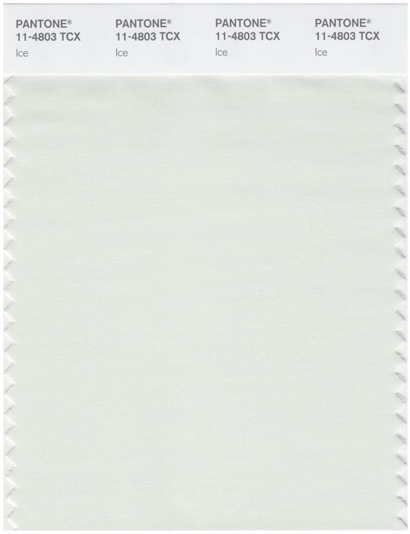 Pantone Smart 11-4803 TCX Color Swatch Card | Ice