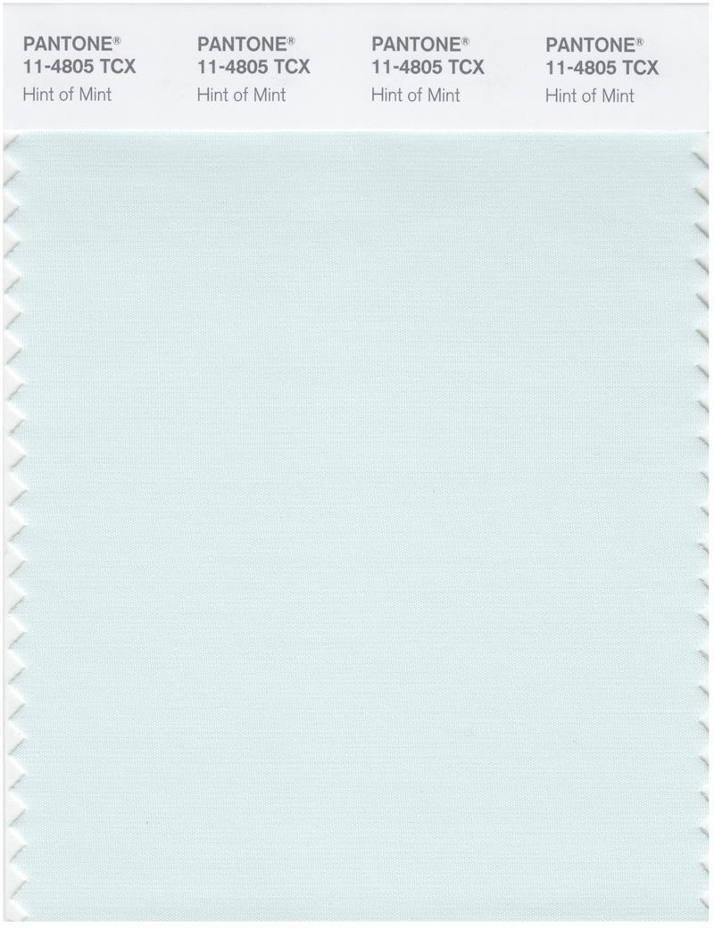 Pantone Smart 11-4805 TCX Color Swatch Card | Hint of Mint