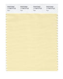 Pantone Smart 11-0619 TCX Color Swatch Card | Flan