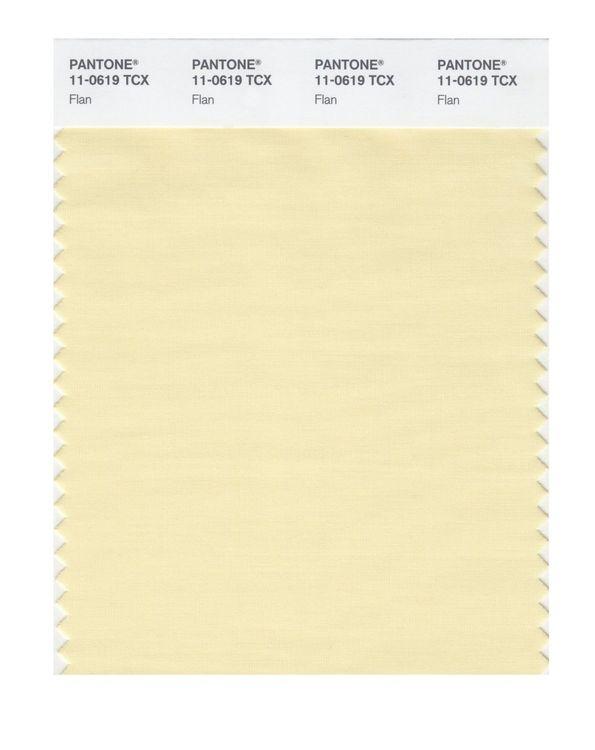 Pantone Smart 11-0619 TCX Color Swatch Card | Flan