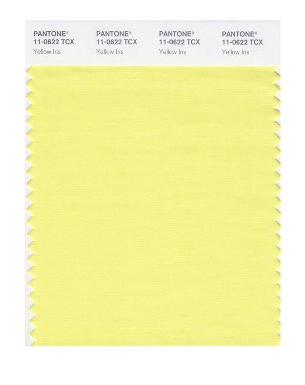 Pantone Smart 11-0622 TCX Color Swatch Card | Yellow Iris