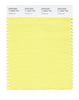 Pantone Smart 11-0622 TCX Color Swatch Card | Yellow Iris