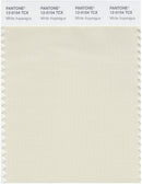 Pantone Smart 12-0104 TCX Color Swatch Card | White Asparagus