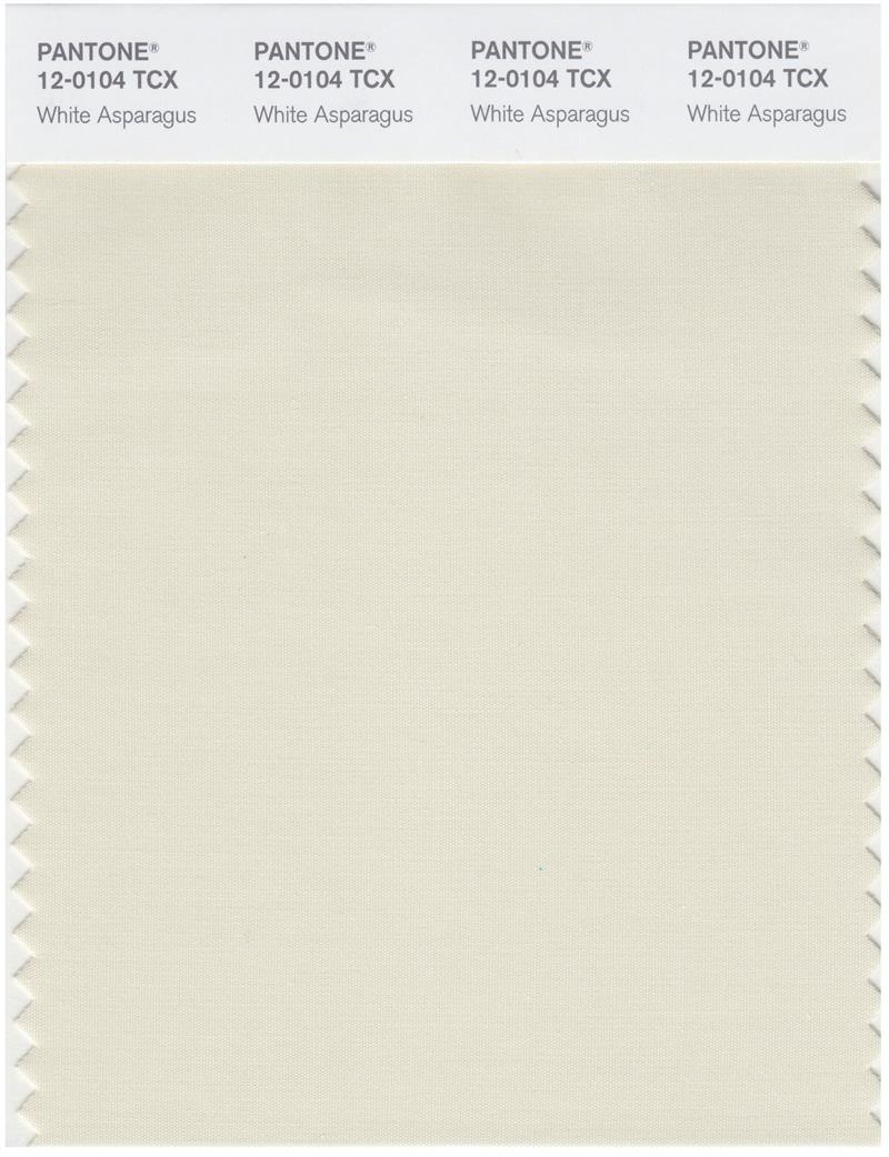 Pantone Smart 12-0104 TCX Color Swatch Card | White Asparagus