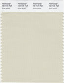 Pantone Smart 12-0105 TCX Color Swatch Card | Bone White