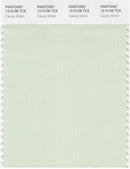 Pantone Smart 12-0108 TCX Color Swatch Card | Canary Green