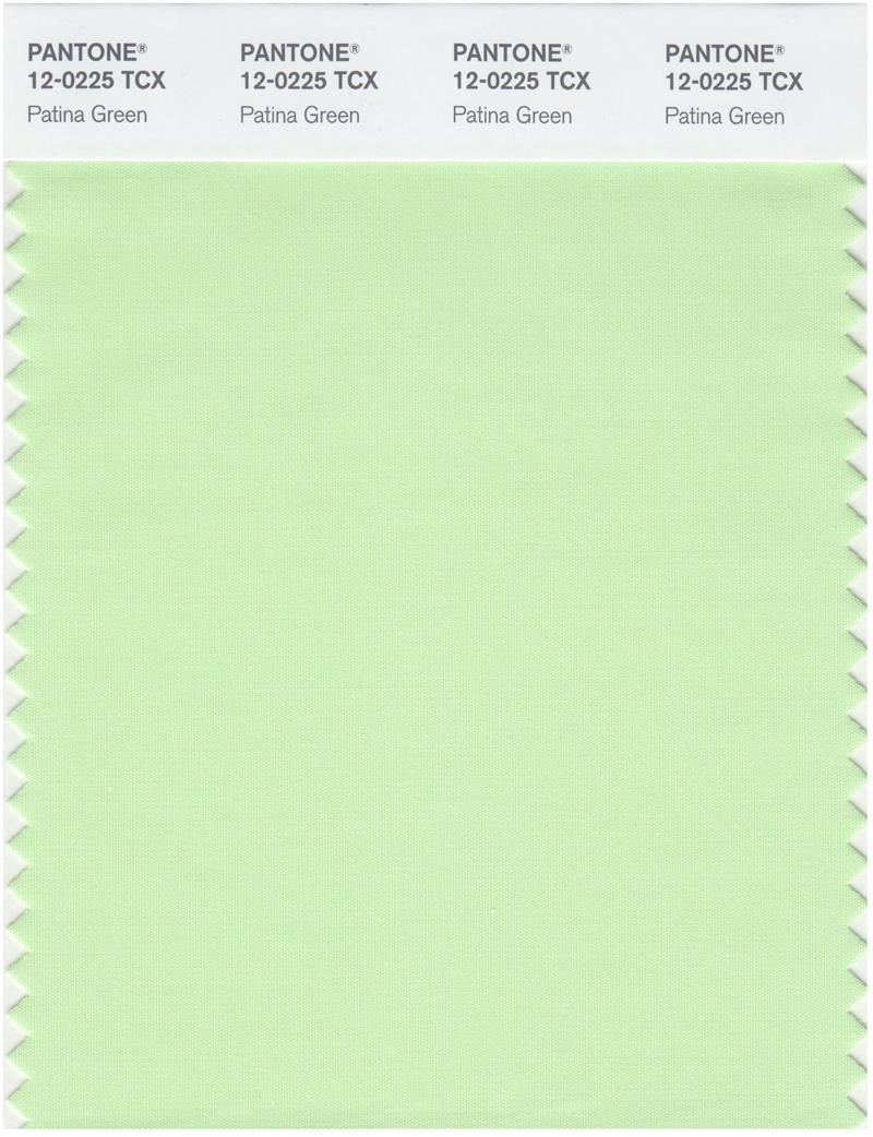 Pantone Smart 12-0255 TCX Color Swatch Card | Patina Green
