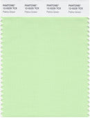 Pantone Smart 12-0225 TCX Color Swatch Card | Patina Green