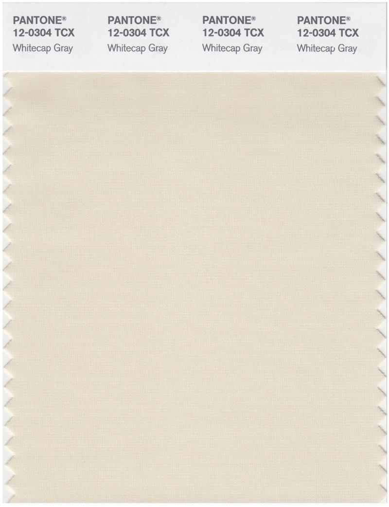 Pantone Smart 12-304 TCX Color Swatch Card | Whitecap Gray
