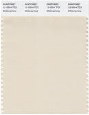Pantone Smart 12-0304 TCX Color Swatch Card | Whitecap Gray