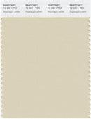 Pantone Smart 12-0311 TCX Color Swatch Card | Asparagus Green