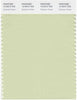 Pantone Smart 12-0313 TCX Color Swatch Card | Seafoam Green