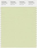Pantone Smart 12-0315 TCX Color Swatch Card | White Jade