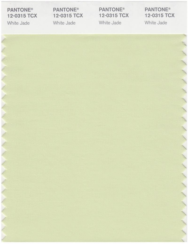 Pantone Smart 12-0315 TCX Color Swatch Card | White Jade