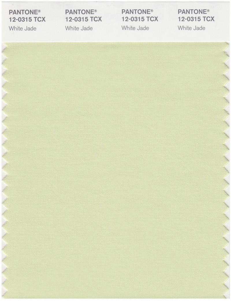 Pantone Smart 12-0315 TCX Color Swatch Card | White Jade