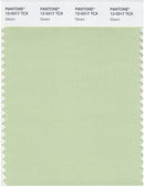 Pantone Smart 12-0317 TCX Color Swatch Card | Gleam