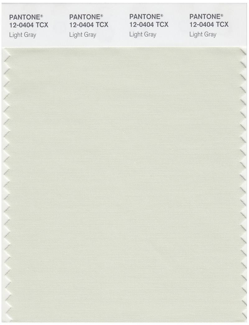 Pantone Smart 12-0404 TCX Color Swatch Card | Light Gray