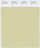 Pantone Smart 12-0418 TCX Color Swatch Card | Hay