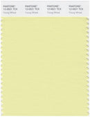 Pantone Smart 12-0521 TCX Color Swatch Card | Young Wheat