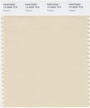Pantone Smart 12-0605 TCX Color Swatch Card | Angora