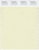 Pantone Smart 12-0607 TCX Color Swatch Card | Green Essence