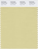 Pantone Smart 12-0619 TCX Color Swatch Card | Dusty Yellow