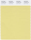 Pantone Smart 12-0626 TCX Color Swatch Card | Lemon Grass