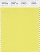 Pantone Smart 12-0633 TCX Color Swatch Card | Canary Yellow