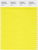 Pantone Smart 12-0642 TCX Color Swatch Card | Aurora