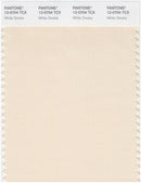 Pantone Smart 12-0704 TCX Color Swatch Card | White Smoke