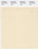 Pantone Smart 12-0710 TCX Color Swatch Card | Navajo