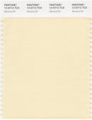 Pantone Smart 12-0713 TCX Color Swatch Card | Almond Oil
