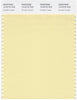 Pantone Smart 12-0715 TCX Color Swatch Card | Double Cream