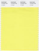 Pantone Smart 12-0740 TCX Color Swatch Card | Limelight