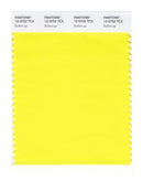 Pantone Swatch 12-0752 TCX Color Swatch Card