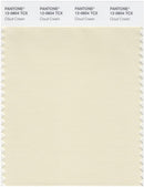 Pantone Smart 12-0808 TCX Color Swatch Card | Cloud Cream