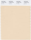 Pantone Smart 12-0807 TCX Color Swatch Card | Sun Kiss