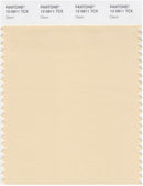 Pantone Smart 12-0811 TCX Color Swatch Card | Dawn