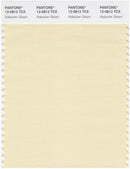 Pantone Smart 12-0812 TCX Color Swatch Card | Alabaster Gleam