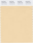 Pantone Smart 12-0813 TCX Color Swatch Card | Autumn Blonde