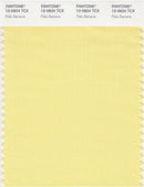 Pantone Smart 12-0824 TCX Color Swatch Card | Pale Banana