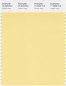 Pantone Smart 12-0826 TCX Color Swatch Card | Golden Haze