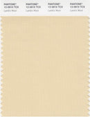 Pantone Smart 12-0910 TCX Color Swatch Card | Lamb's Wool