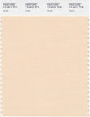 Pantone Smart 12-0911 TCX Color Swatch Card | Nude