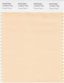 Pantone Smart 12-0912 TCX Color Swatch Card | Tender Peach