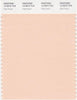 Pantone Smart 12-0915 TCX Color Swatch Card | Pale Peach