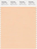 Pantone Smart 12-0917 TCX Color Swatch Card | Bleached Apricot